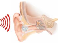 Картинка к материалу: «Международный день охраны здоровья уха и слуха»