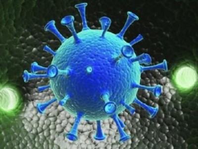 Картинка к материалу: «О мерах по противодействию коронавирусу»
