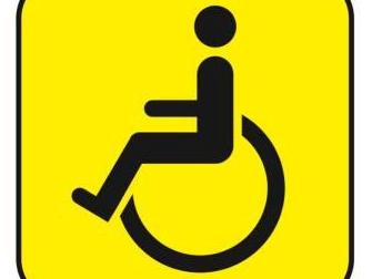 Картинка к материалу: «Михаил Терентьев прокомментировал внесенный в Госдуму законопроект о выдаче именного знака «инвалид»»