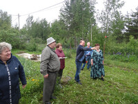 сады Кайваксы Тихвинский район